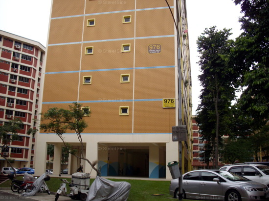 Blk 976 Jurong West Street 93 (Jurong West), HDB 5 Rooms #439152